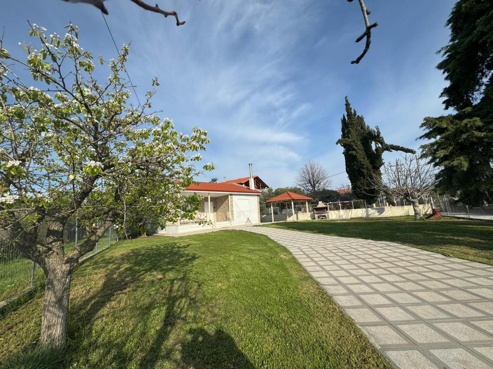 Tatil Evi Zoe